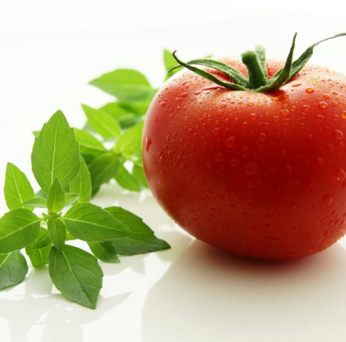 Мембранный метод хранения свежей растительной продукции